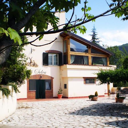 Agriturismo La Selva Rieti Exterior photo